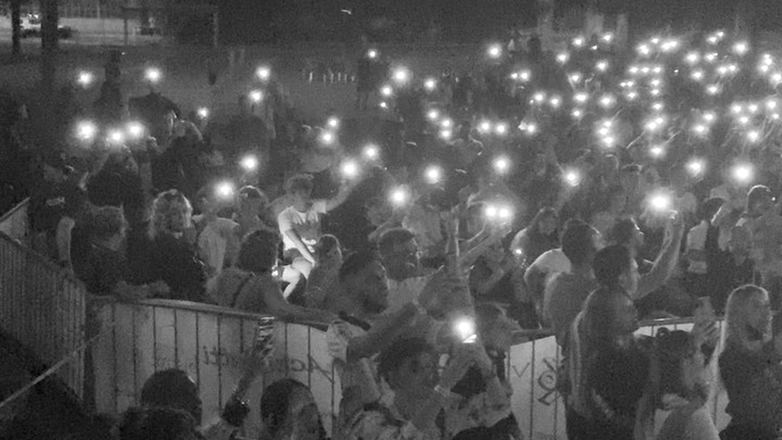 Il pubblico di un live